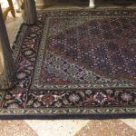 610 2096 ORIENTAL RUG